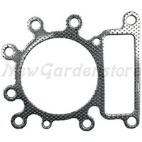 Zylinderkopfdichtung FüR Traktor RasenmäHer Briggs & Stratton 273280