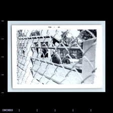 Old Vintage Photo BUFFALO BISON ZOO EXHIBIT 1963