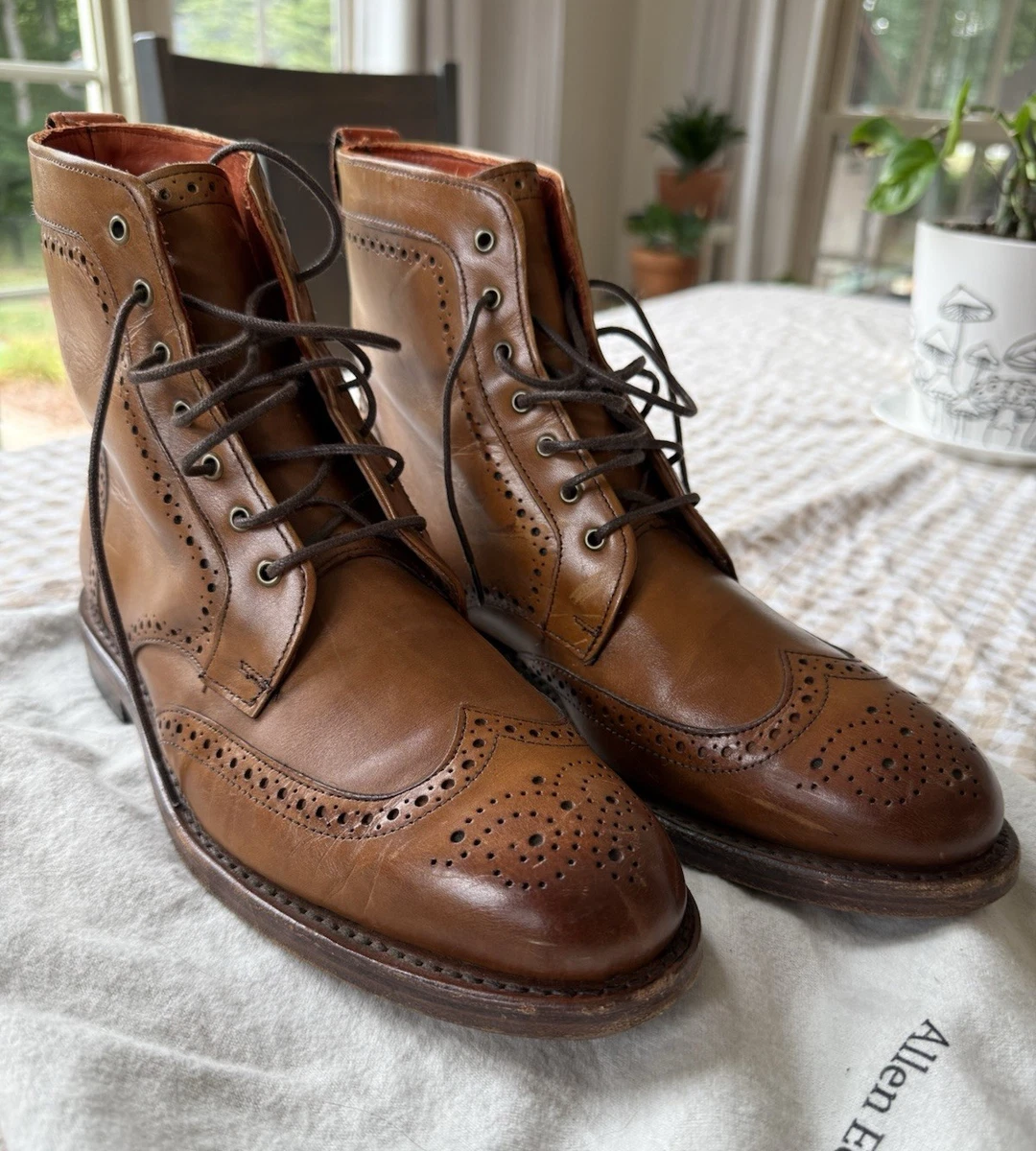 Allen Edmonds Dalton Indiana Men's Boots for sale | eBay