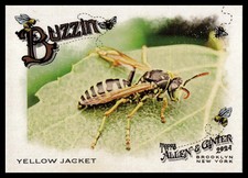 2024 Topps Allen & Ginter #BUZ-13 Yellow Jacket Buzzin'