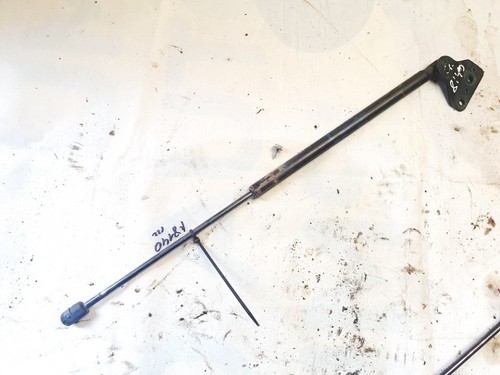 Gasdruckfeder Motorhaube  Ford C-MAX DE1635733-35