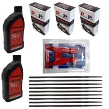 Proven Part (3) 24" Chain 3/8" .050" 80DL 72LGX80G 33RSC-80 (2) Qt Oil (1) Stump