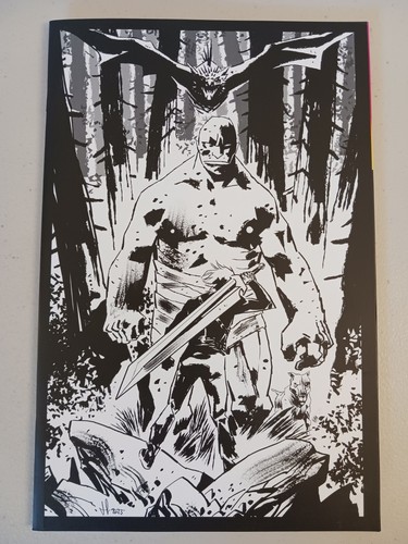 Lost Fantasy #1 (1:25 and 1:15 Incentive Variant Set Lot) NM, Image 2025 - Picture 2 of 5
