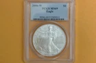 2006-W (Burnished) American Silver Eagle PCGS MS69