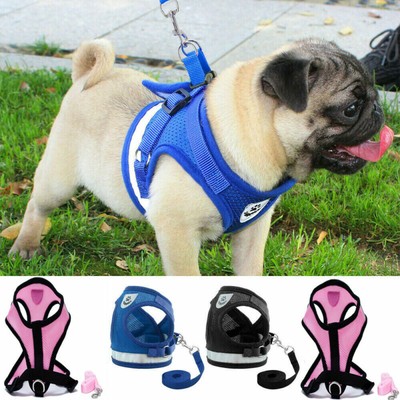 soft puppy harness