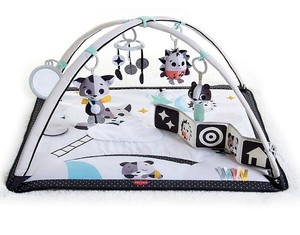 ebay baby play gym