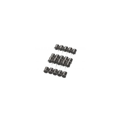Rational 3019.0120P Fuse 5X20Mm (P/10)