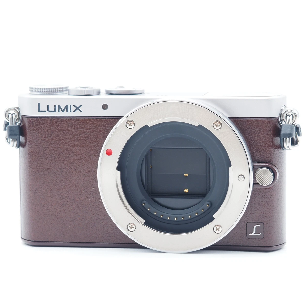 Panasonic LUMIX GM1 Digital Cameras for sale | eBay