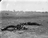 8x10 Civil War Photo: Confederates Where They Fell At Antietam - Sharpsburg 8x10 Civil War Photo: Confederates Where They Fell At Antietam - Sharpsburg