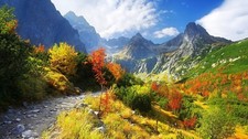 Landscape nature mountains path tatra plants Custom Gaming Mat Desk