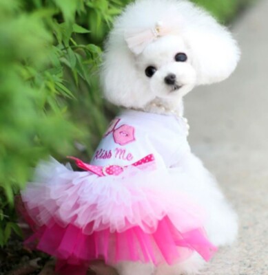 Dog Fashion Dress | eBay Dog Fashion Dress | eBay