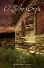 A Slow Burn: A Novel by Mary E. DeMuth (Paperback, 2009)