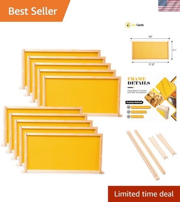 Efficient 10-Pack Beehive Frames with Wax Foundations for Quick Honey Production
