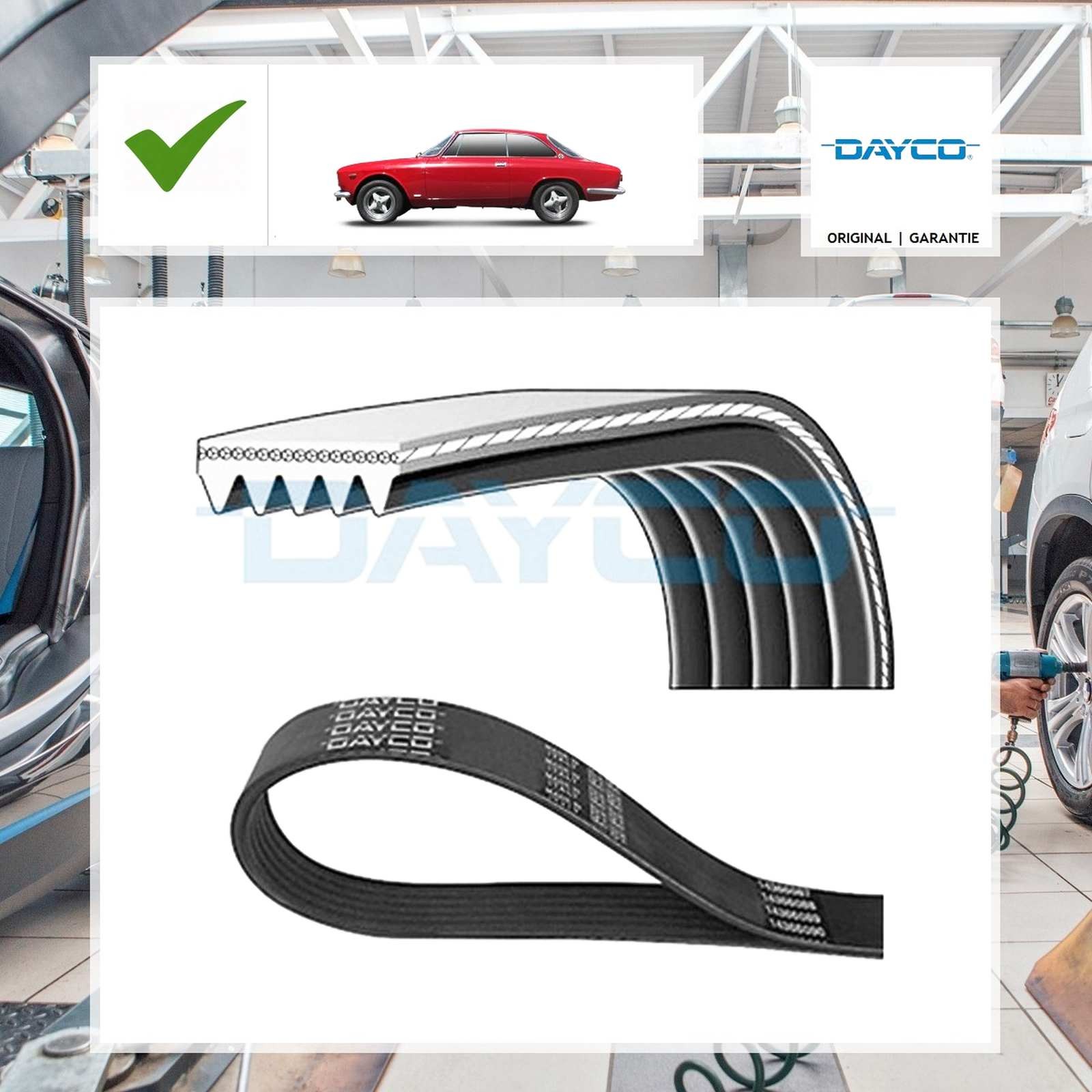 Dayco Keilrippenriemen BMW 3 Touring (E36) 318 tds