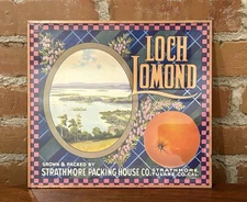 LOCH LOMOND Orange Fruit Crate Label Framed Wall Art Harvey's Wallhangers CA