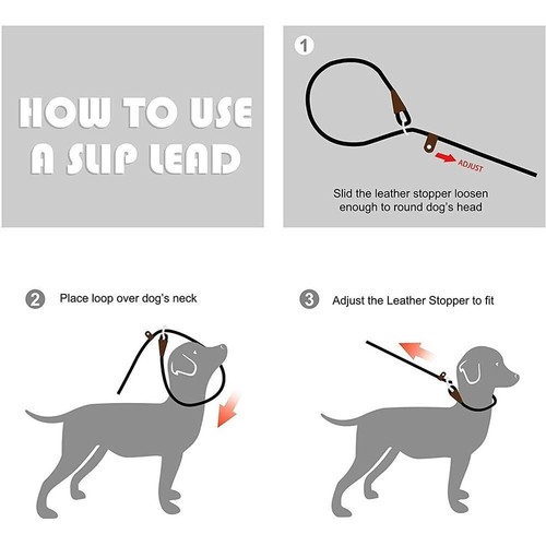 Adjustable Nylon Strong Dog Rope Dog Chain Pet Training Leash Pet Traction Rope - Picture 7 of 16