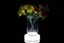 18cm-Round-Ultrabright-LED-Light-Base-for-Vases-Centrepieces-Weddings-Flowers thumbnail 1