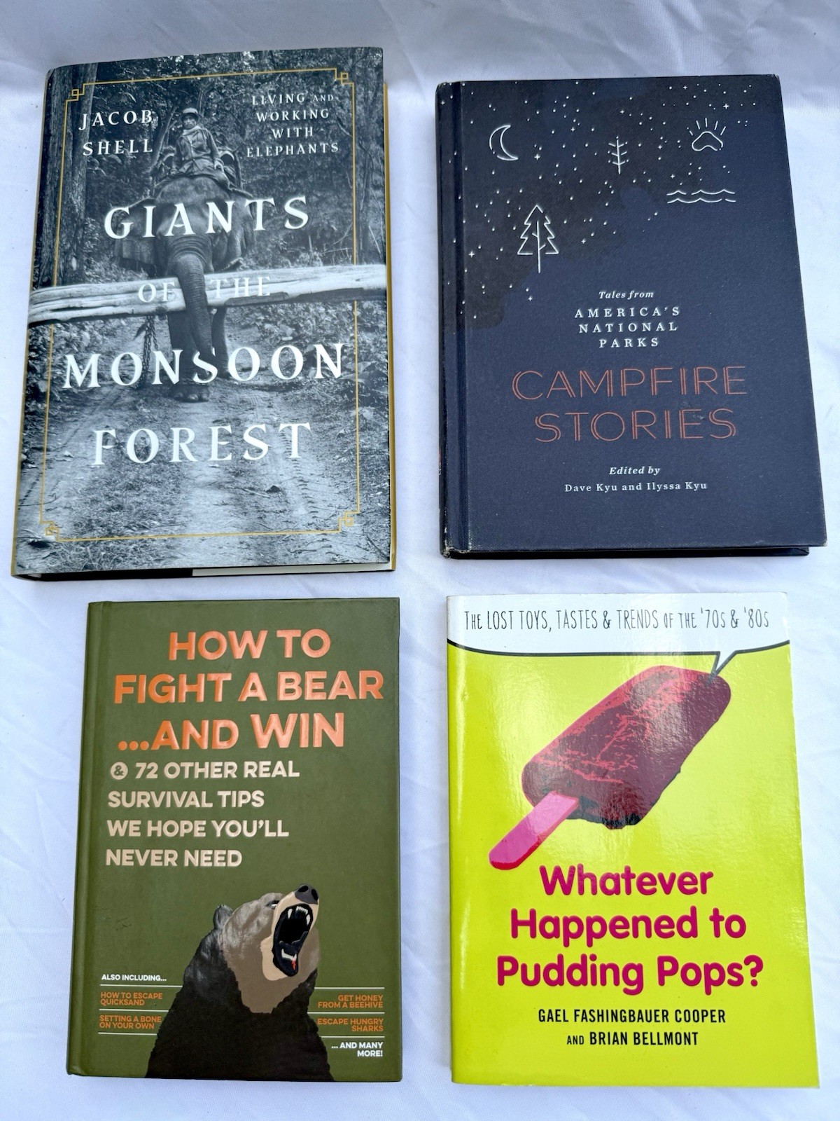 Hardcover Book Lot Elephants Pudding Pops How To Fight A Bear Campfire Stories