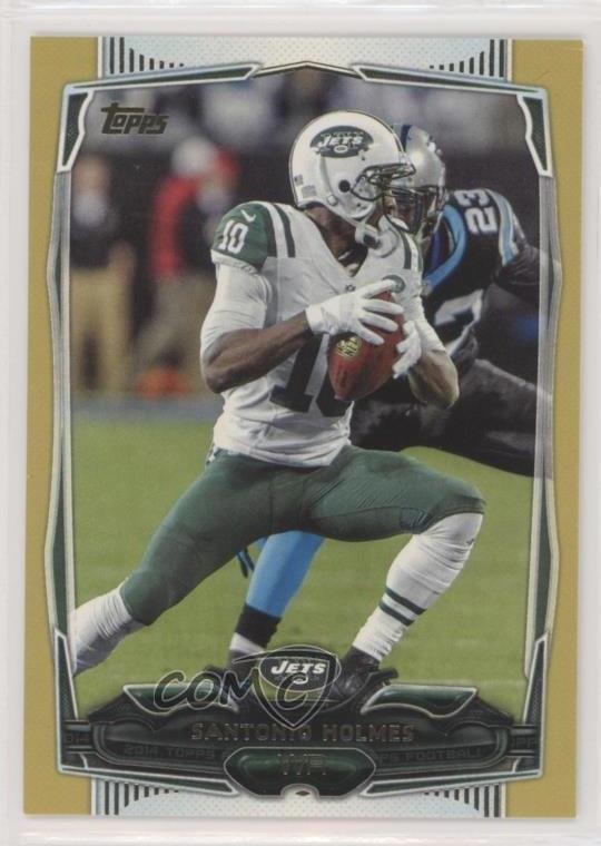 2014 Topps Gold 86/2014 Santonio Holmes #28 2u3
