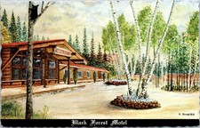 Batchawana Bay Ontario Black Forest Motel Bear Tree Signed Stahl 1973 Postcard