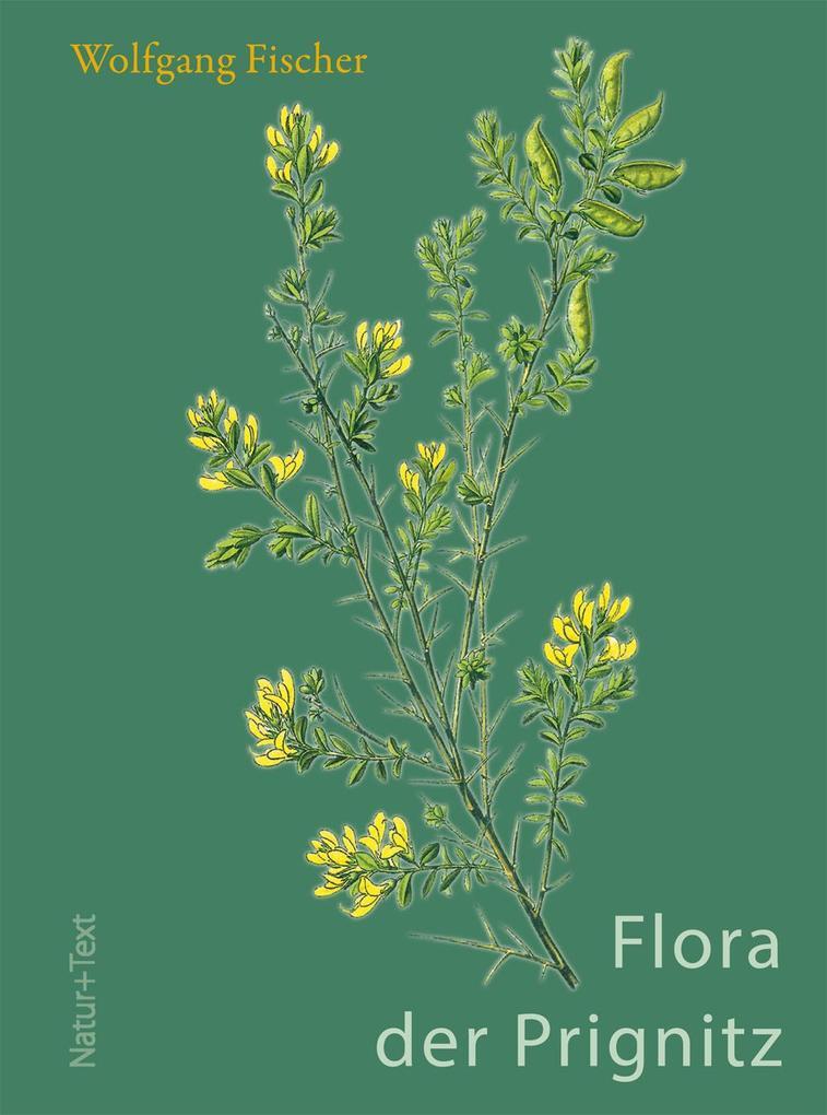 Thumbnail - Flora Der Prignitz | Wolfgang Fischer | 2017 | Deutsch