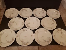 (11) Salad dessert Plates" blue flower Onondaga Pottery Company O P Co Syracuse