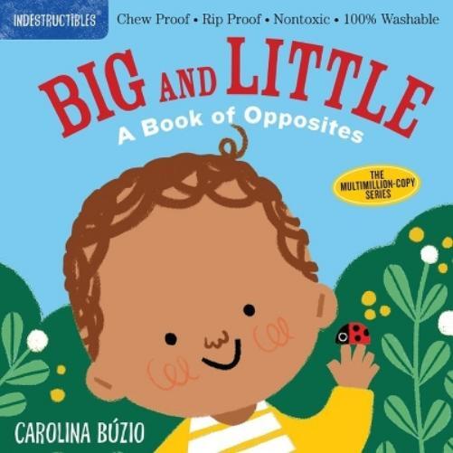 Thumbnail - Amy Pixton Indestructibles: Big And Little: A Book Of Opposites