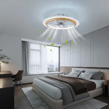 Modern Gold Ceiling Fan with Lights Dimmable LED with Remote Control 85-265V
