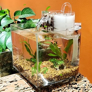 portable aquarium