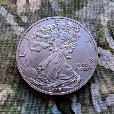 #ad #ad 2025 American Eagle Liberty Walking Coin 1 OZ .999 Pure TITANIUM Round $12.95