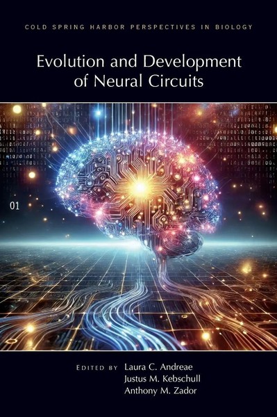 Laura Andreae (U. A.) | Evolution & Development Of Neural Circuits | Buch (2025)-image
