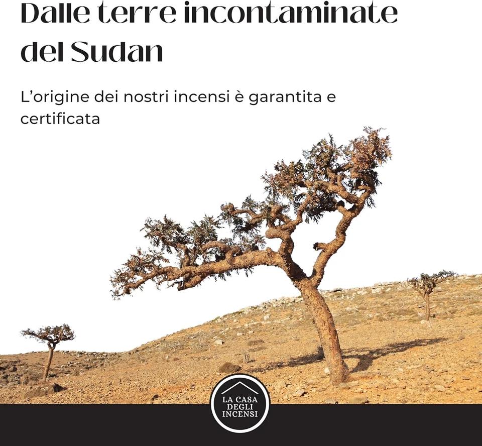 Incenso in Grani Olibano Puro E Naturale Al 100% Del Sudan, Origine Certificata, - Immagine 4 di 4