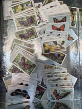 10 x Butterflies 🦋 Cigarette/tobacco Cards Random Lot 1920’s-30’s