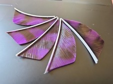 Trueflight Shield Cut Feathers Barred Purple 2 Inch Right Wing 50 Pck