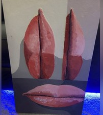  on The Hot Collector