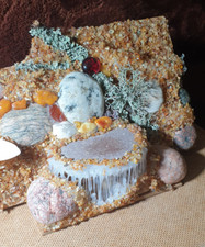 Natural Baltic amber gems gemstone collectible Jewelry stand Pedestal figurine