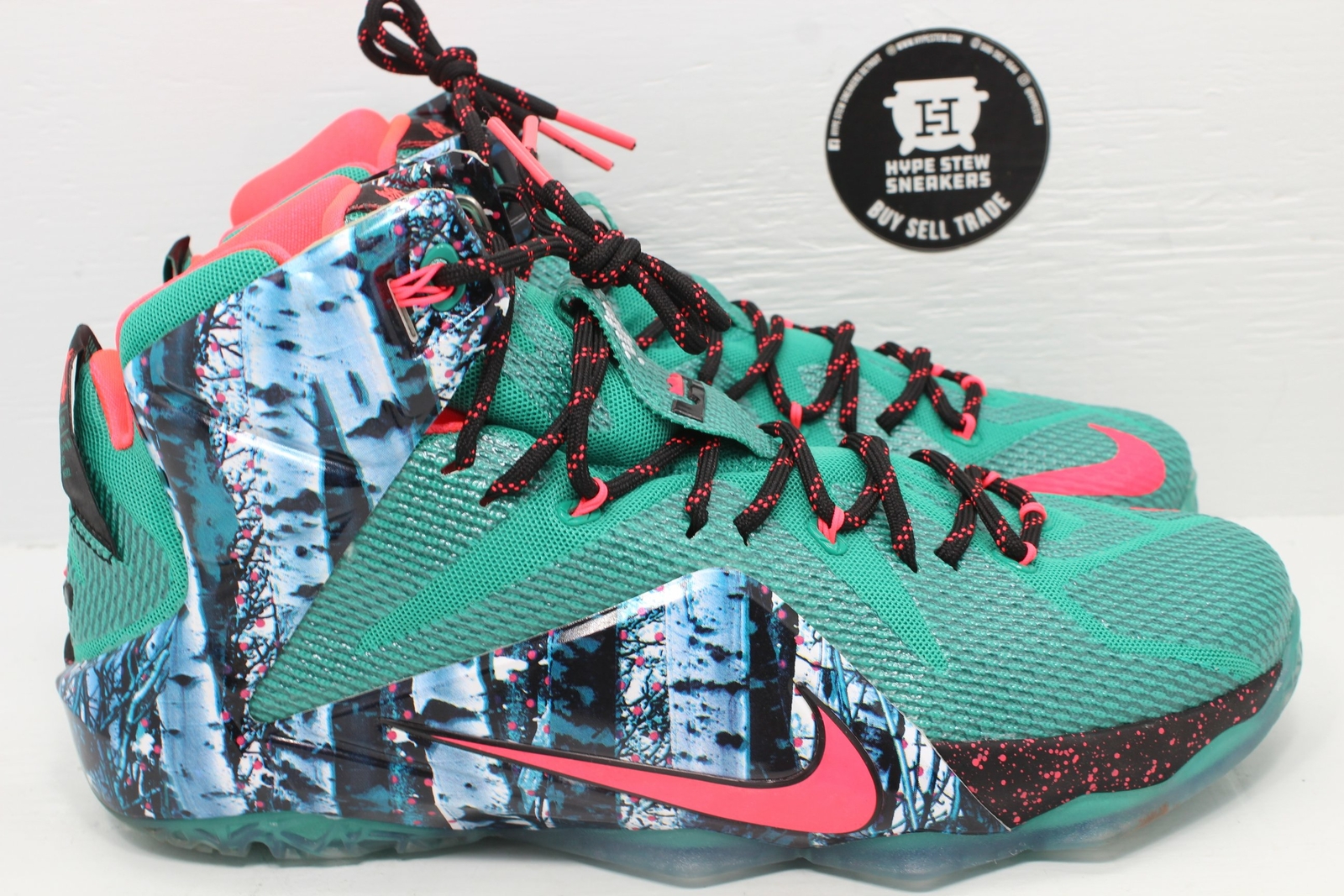 nike lebron 12 akron birch