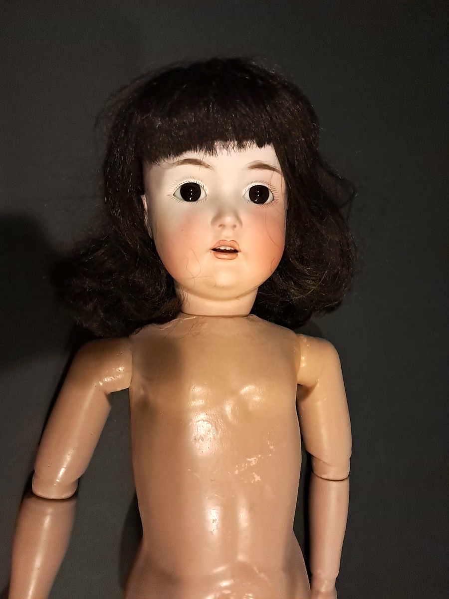 ANTIQUE DOLL Kestner Head Mold 171 Daisy Brunette with Winter Fur