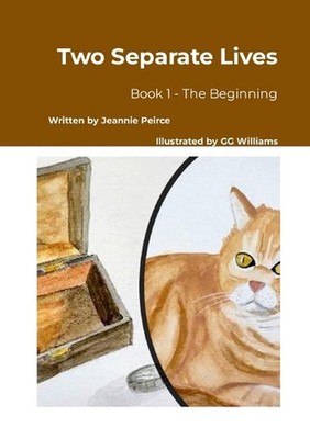 Two Separate Lives: Book 1 - The Beginning by Jeannie Peirce Paperback Book