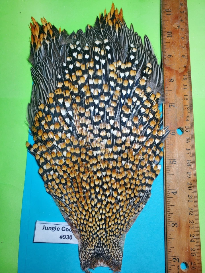 Capa Jungle Cock SUPER AAA 930 EE. UU. Solo  Foto 3 de 4