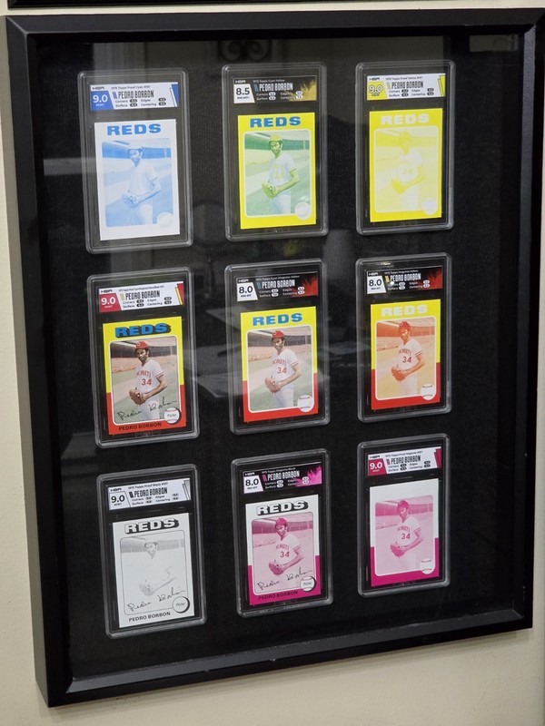 PEDRO BORBÓN 💎 1975 TOPPS 💎 HGA GRADED CARD FRAME DISPLAY 💎 9  SLABS 💎 REDS