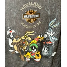 Harley-Davidson Looney Tunes T-Shirt Mens Large Gray Somerset PA Daffy Duck VTG