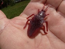 Fake Roach 1  Gag  Fun Shipped from U.S.A. / Florida  Fast Shipping 