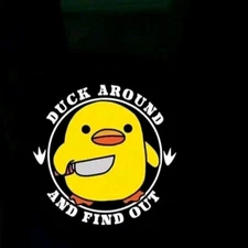 Duck Around And Find Out Car Decal Sticker Fafo Free Shipping 