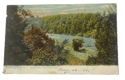 Vintage 1900s Postcard ~ Genesee River from Seneca Park ~ Rochester New York NY