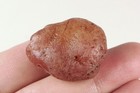 56Ct Natural Mongolia Eye Agate Collectible Facet Rough Specimen YEM1965 — photo 2