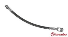 Flexible de frein Audi 50