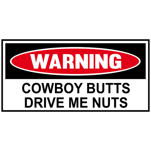 4-Pack Funny Vehicle Rules Vinyl Sticker Set – Safety Warning Decals For Car/Truck Window