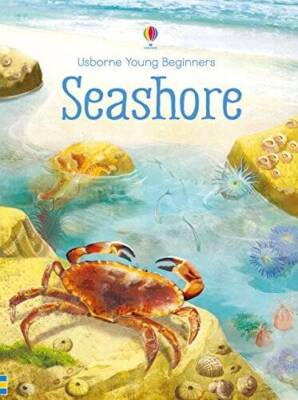 Seashore - Hardcover By Emily Bone - GOOD