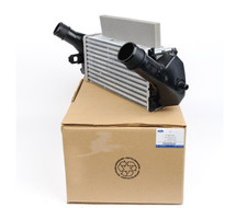 FORD ECOSPORT MK2 Ladeluftkühler 2163154 H1BG-6K775-AC NEUES ECHTES